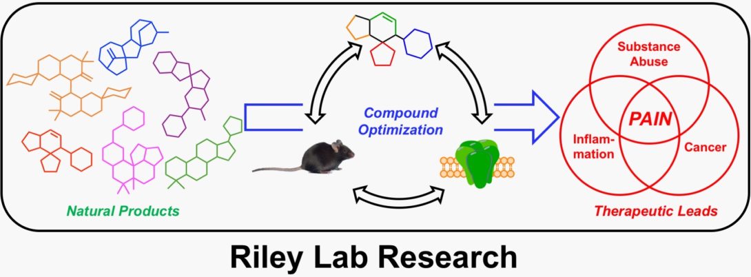Riley Lab Graphic
