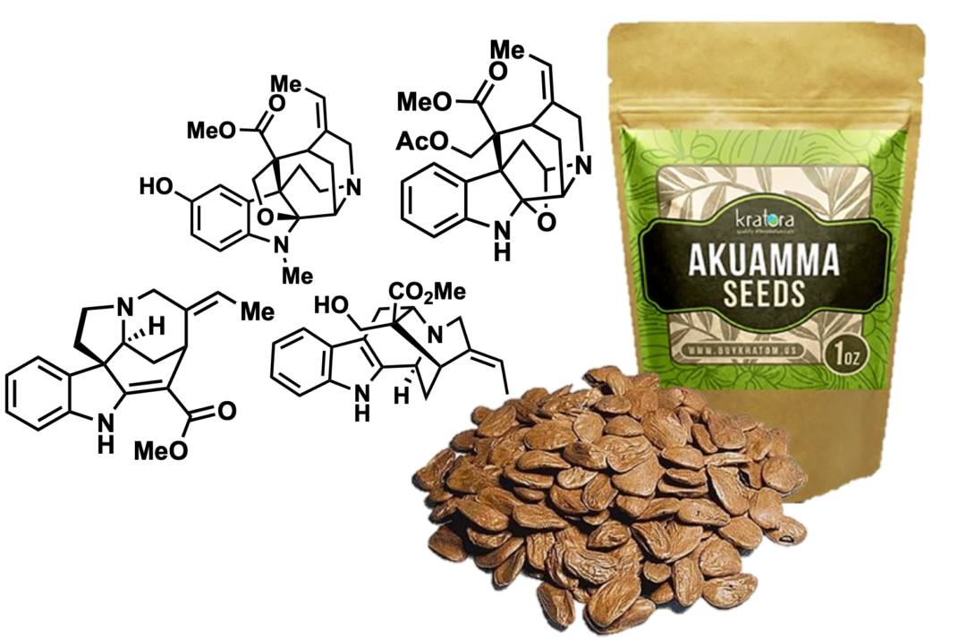 alkaloids and akuamma seeds