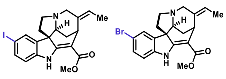 Figure 1 from Manuscript depicting Iodo-AKC and Br-AKC